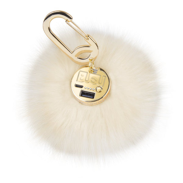 Fendi 2025 power bank