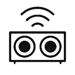 Wireless Speakers